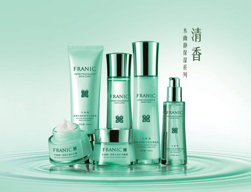 法蘭琳卡化妝品包裝設(shè)計(jì)品牌策劃營(yíng)銷推廣方案